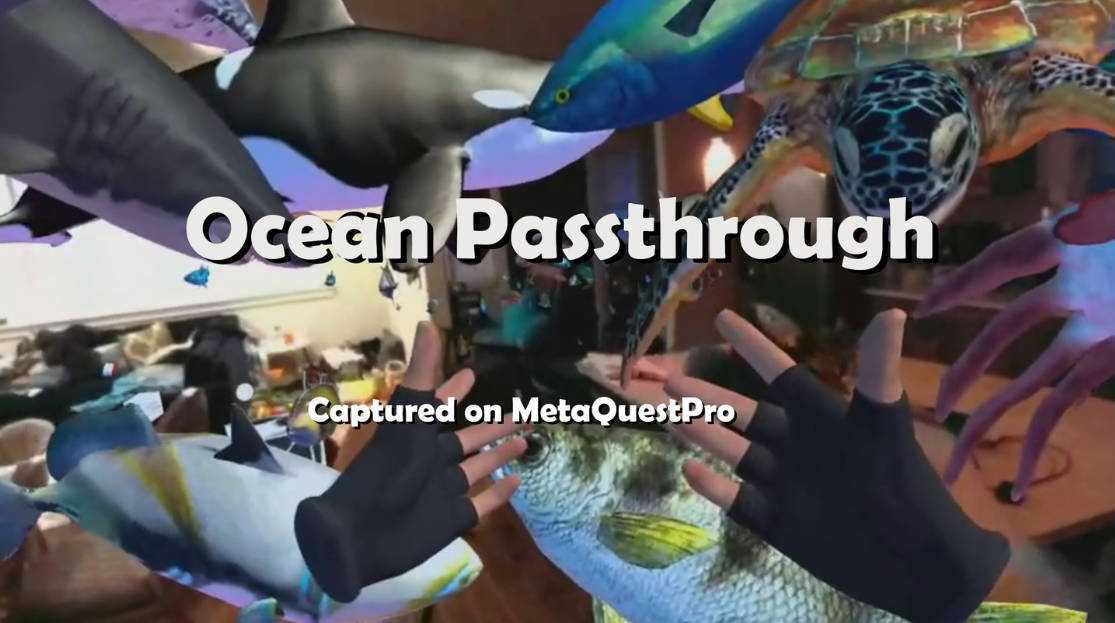 海洋世界（Ocean Passthrough）- Meta Quest游戏