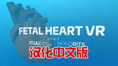 心脏病医学VR 汉化中文版（Fetal Heart VR）- Meta Quest游戏