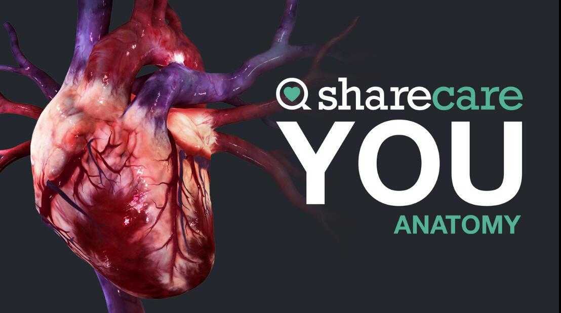 器官解刨学（Sharecare YOU Anatomy VR）- Oculus Quest游戏