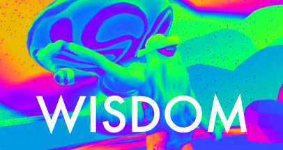 智慧VR（Wisdom）