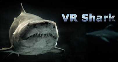 VR鲨鱼（VR Shark）