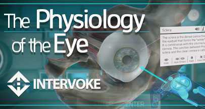 眼睛的生理学（The Physiology of the Eye）